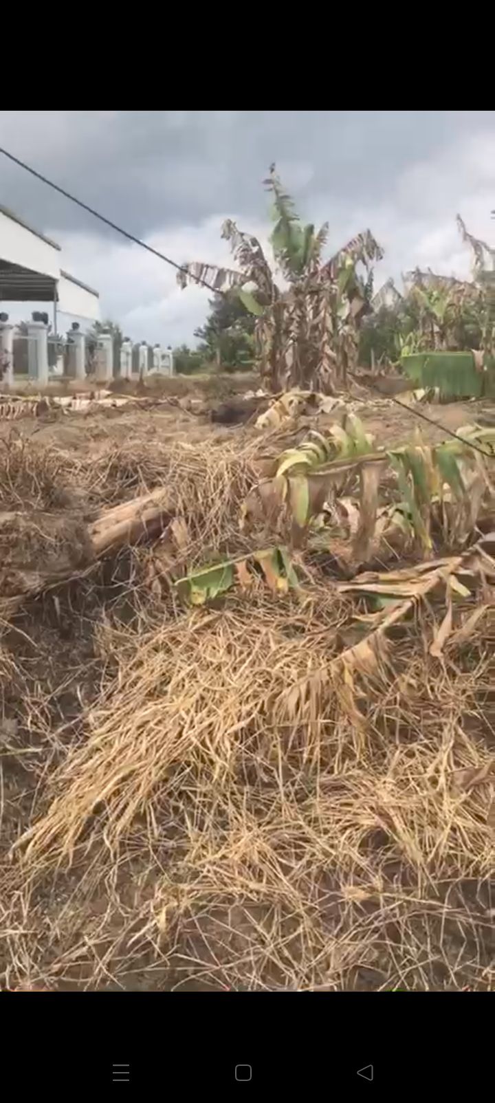 Đất nền Huyện Đức Trọng 1260m² giá 94.5 tỷ - Sổ đỏ chính chủ, vị trí đắc địa!