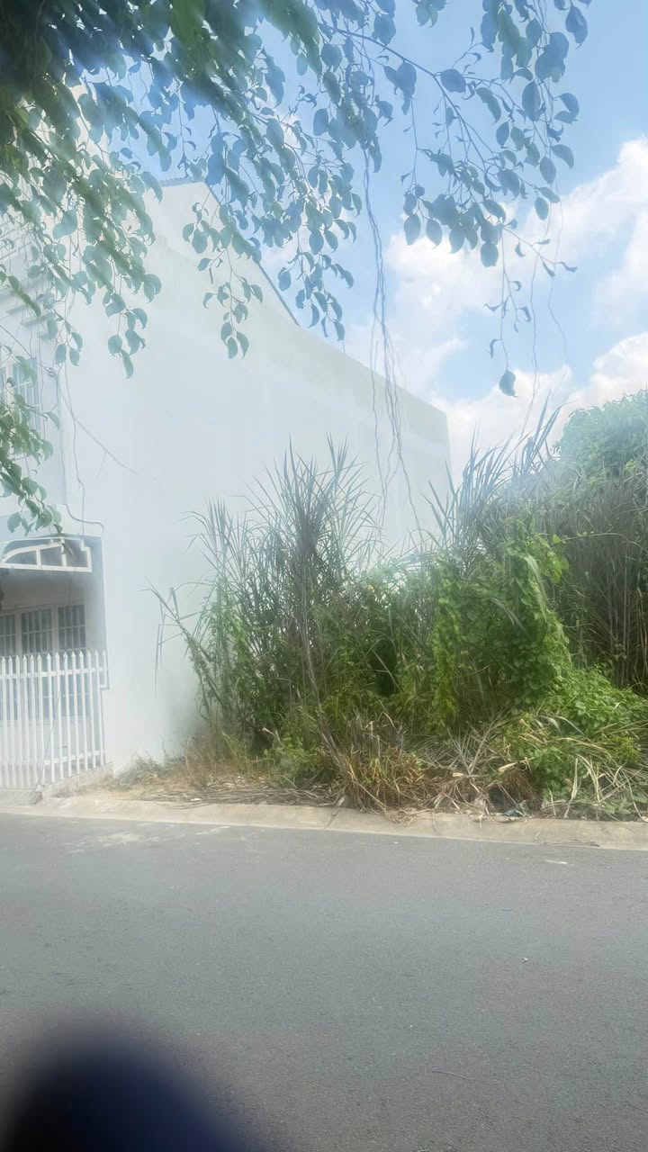 Đất nền đường Trương Hán Siêu, Long Xuyên 64m² - Vị trí đắc địa, giá tốt!