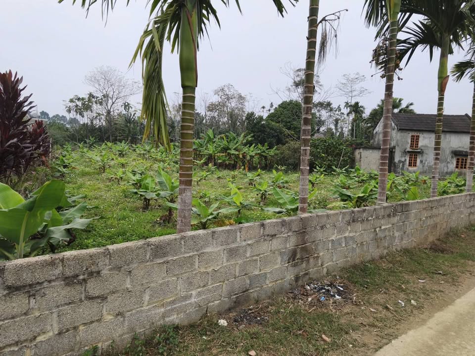 Đất nền Bình Sơn Kim Bôi 2800m² giá 5.6 tỷ - Đầu tư sinh lời hấp dẫn!