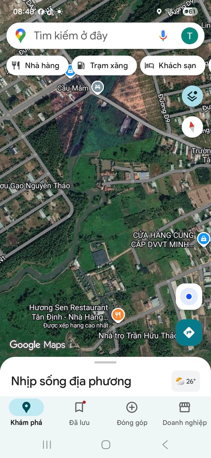 Đất vườn 4000m² tại Khu phố 4, Bến Cát - Giá thỏa thuận, phong thủy tuyệt đẹp!