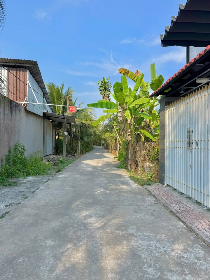 Đất nền Phường 10, Mỹ Tho 993m² giá chỉ 3.x tỷ - Đầu tư sinh lời lý tưởng!