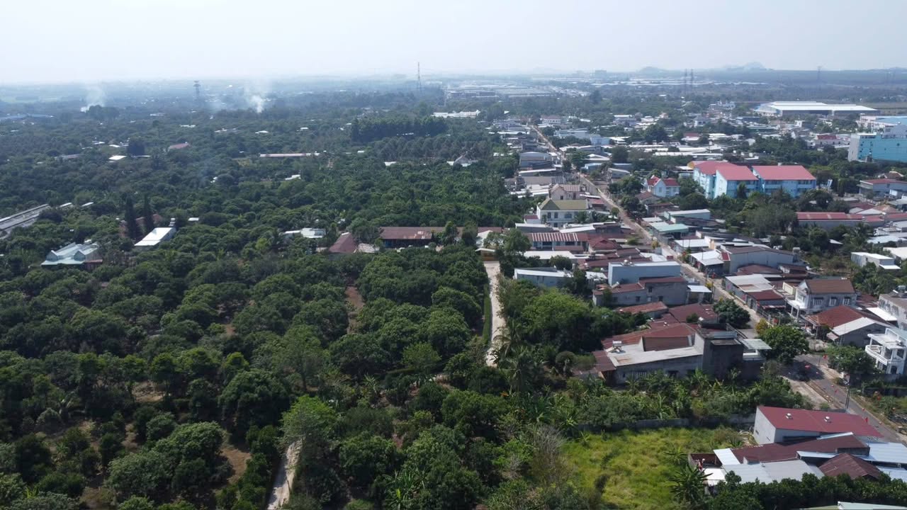 Đất vườn Măng Cụt, Chôm Chôm tại Long Khánh 1005m² - Đầu tư sinh lời hấp dẫn!