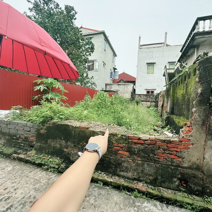 Đất ô tô đỗ cửa tại Phượng Dực, 80m² giá 3 tỷ - Sổ đỏ chính chủ!