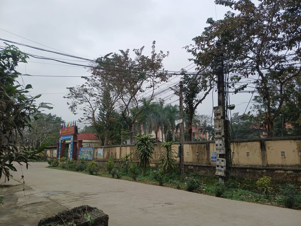 Đất thổ cư Tuyên Quang 100m² giá 1.6 tỷ - Gần trường ĐH Tân Trào!