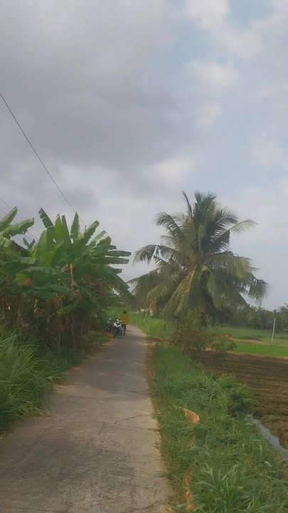 Đất Farm 1.000m² tại Xã Long Bình, Gò Công Tây - Giá 600 triệu, sổ hồng chính chủ!