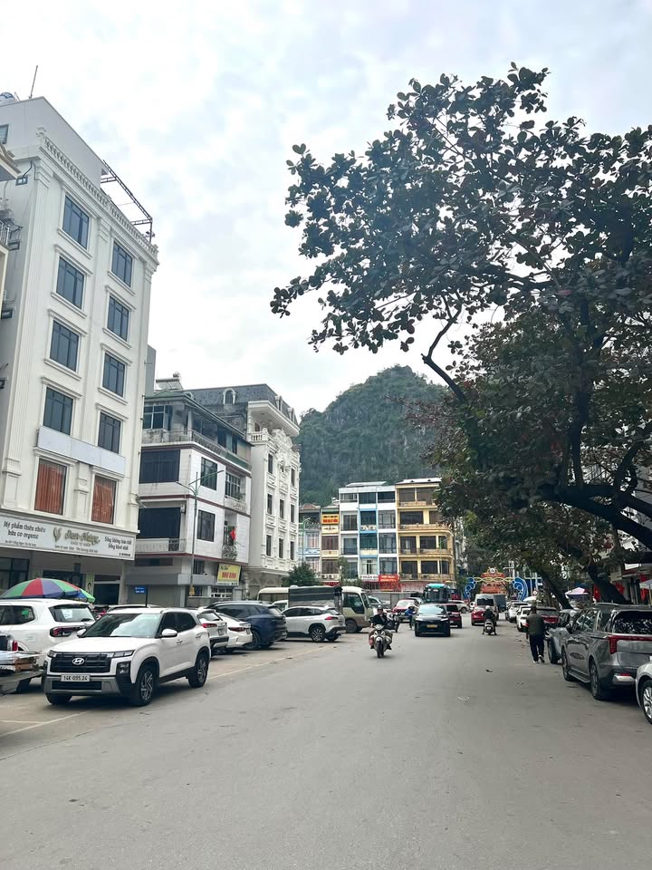 Nhà kinh doanh 6 tầng tại Hạ Long 360m² giá 15 tỷ - Vị trí đắc địa ngay trung tâm!