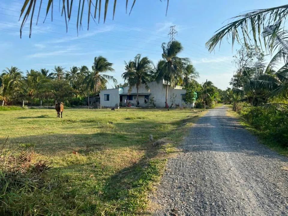 Đất thổ cư Xã Nguyệt Hóa, Huyện Châu Thành, 168m² giá 1.2 tỷ - Thương lượng chính chủ