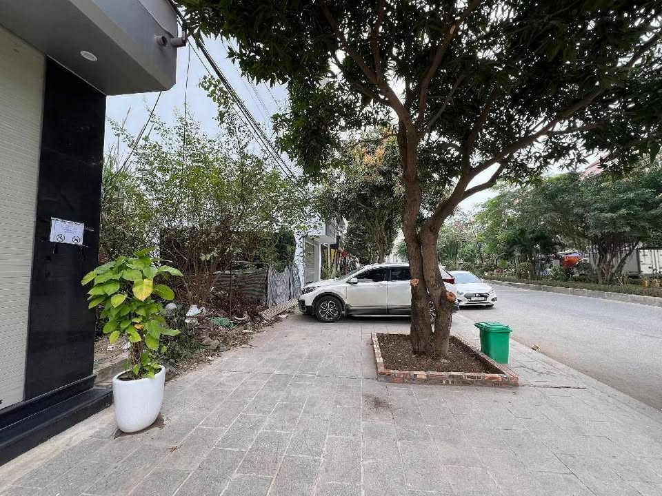 Đất mặt đường Đại lộ Bình Minh 74m² giá 2 tỷ - Sổ đỏ vuông vức, cơ hội đầu tư tuyệt vời!