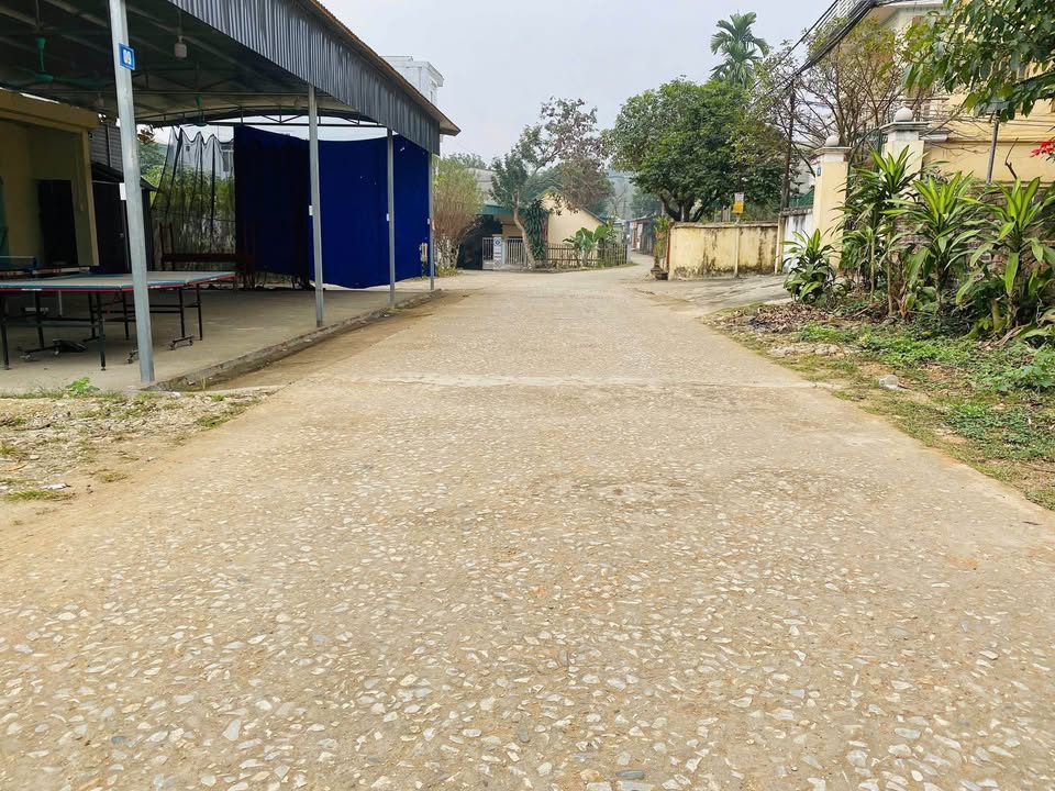 Đất nền Phường An Tường 86m² giá 700 triệu - Đầu tư sinh lời ngay!