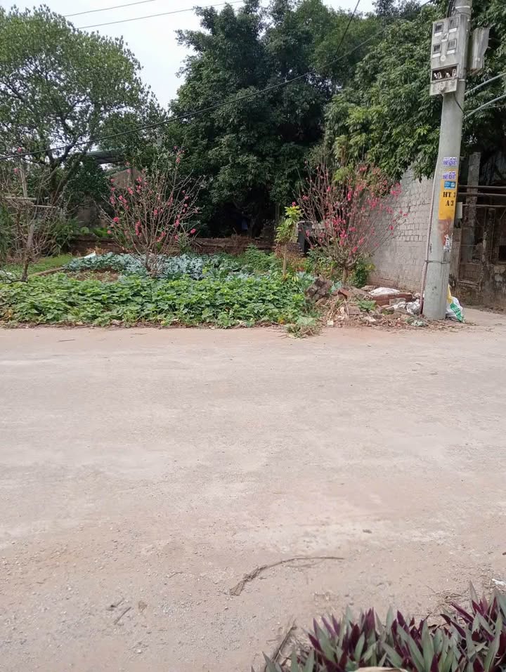 Đất nền lô góc Hồng Thái 93m² giá 2 tỷ - Vị trí trung tâm đẳng cấp!