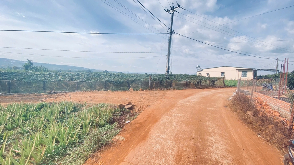 Đất đầu tư 1,1 ha tại Tân Hội, Đức Trọng, chỉ 11,5 tỷ - Cơ hội không thể bỏ lỡ!