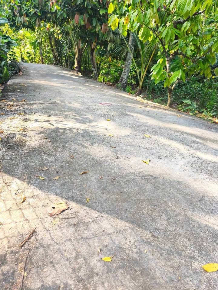 Đất nền Phú Túc, Châu Thành, 1000m² giá 850 triệu - Đầu tư lý tưởng cho nghỉ dưỡng!