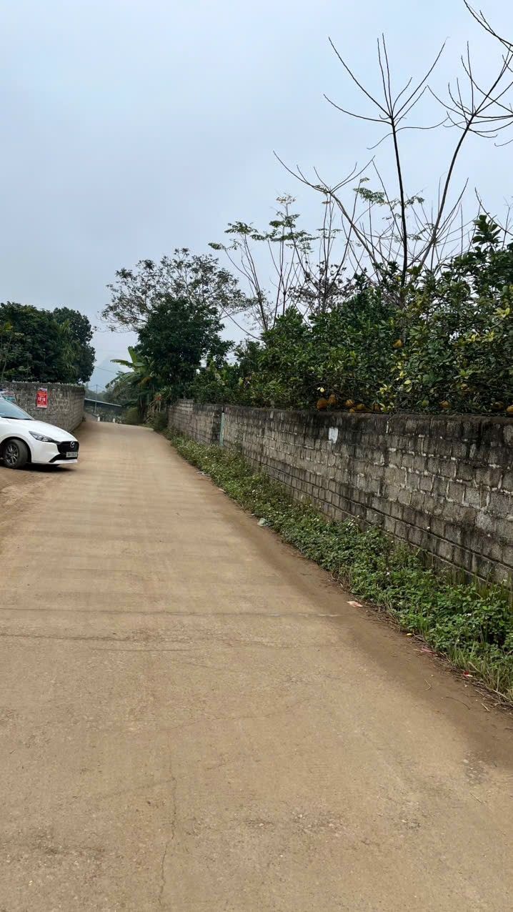 Đất nền Kim Bôi 1300m² giá 2.6 tỷ - Sổ đỏ chính chủ, vị trí đắc địa!