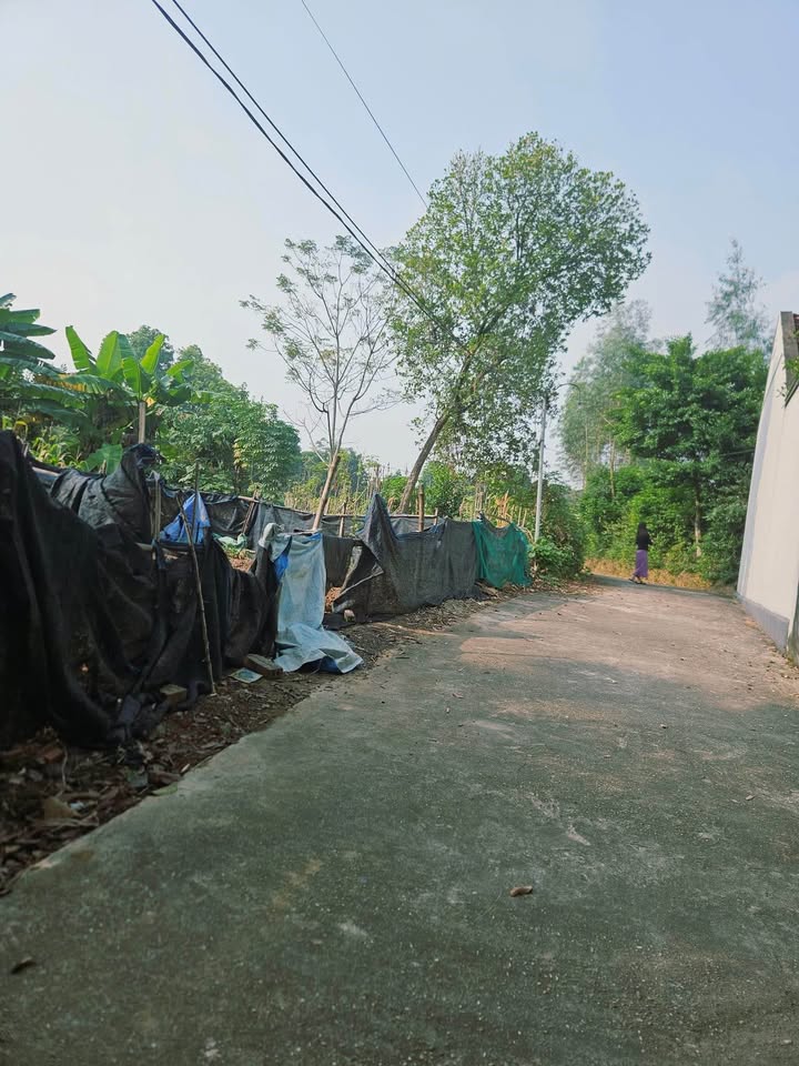 Đất thổ cư khu 3 Thanh Đình 87m² giá 800 triệu - Vị trí thuận lợi, đầu tư sinh lời!