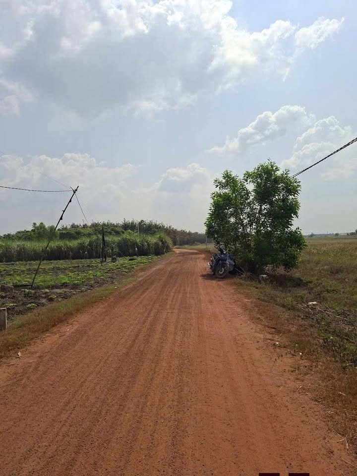 Đất nông nghiệp 4.5ha mặt tiền xã Tân Hội, chỉ 54 tỷ - Cơ hội đầu tư hấp dẫn!