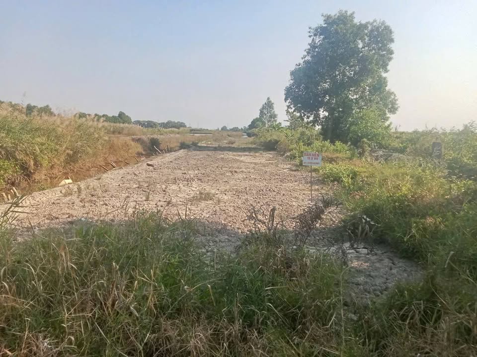 Đất nền 1200m² tại Huyện Thới Bình, Cà Mau - Gần trục đường lớn, cơ hội đầu tư tuyệt vời!