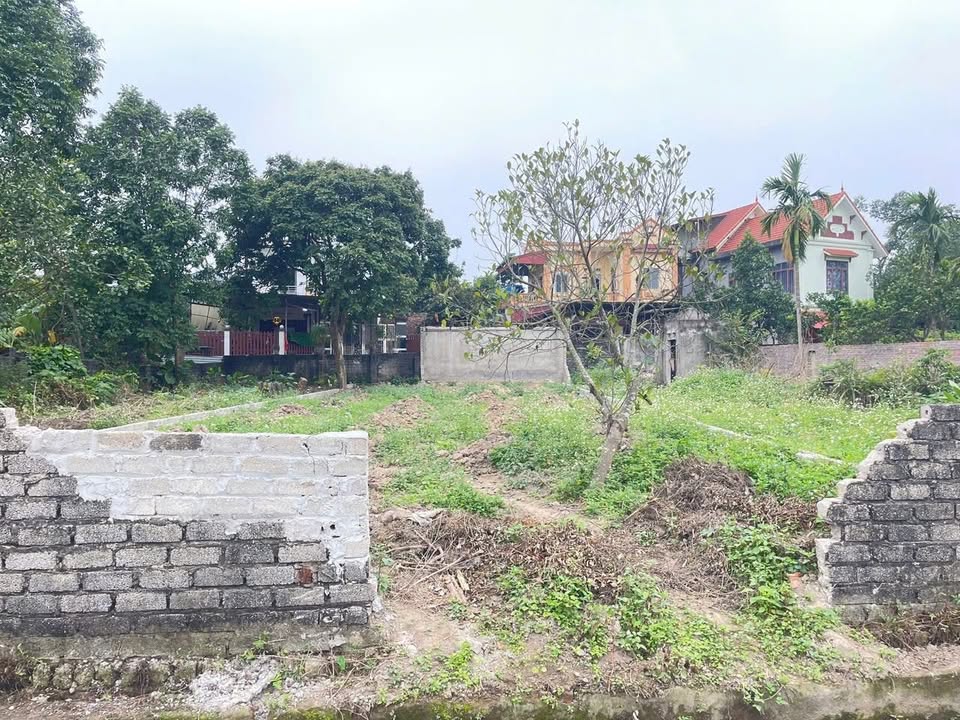 Đất thổ cư Xã Đại Đồng, Huyện Tiên Du 304m² giá 1 tỷ - Đầu tư sinh lời!