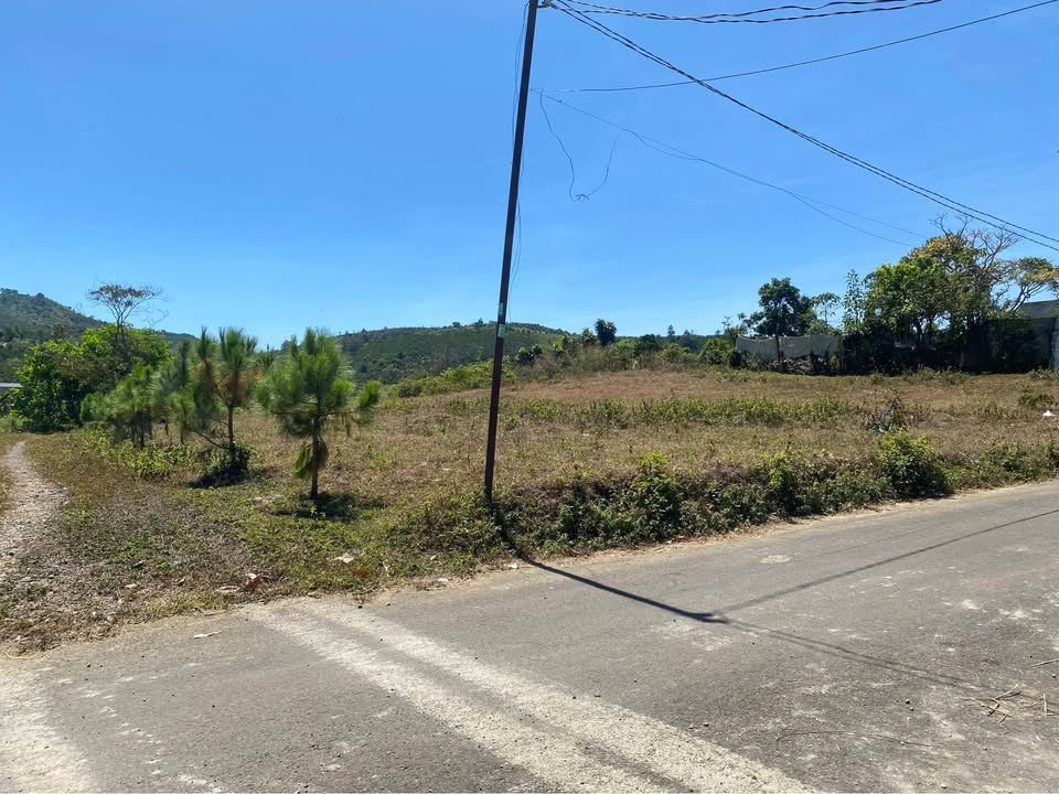 Đất nền Phường B'lao, Bảo Lộc 793m² giá 2.999 tỷ - Tiềm năng nghỉ dưỡng tuyệt vời!