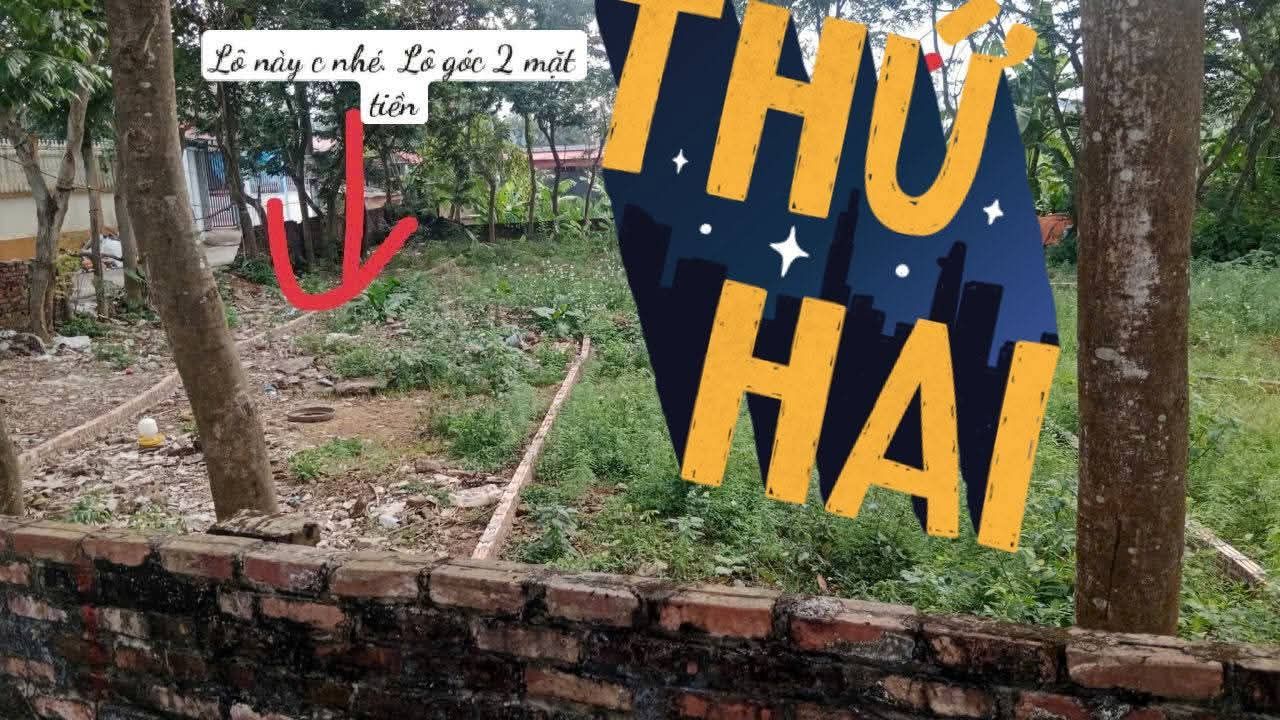 Đất nền góc 2 mặt tiền tại Đông Cứu 162m² giá chỉ 2.106 tỷ - Cơ hội đầu tư sinh lời!