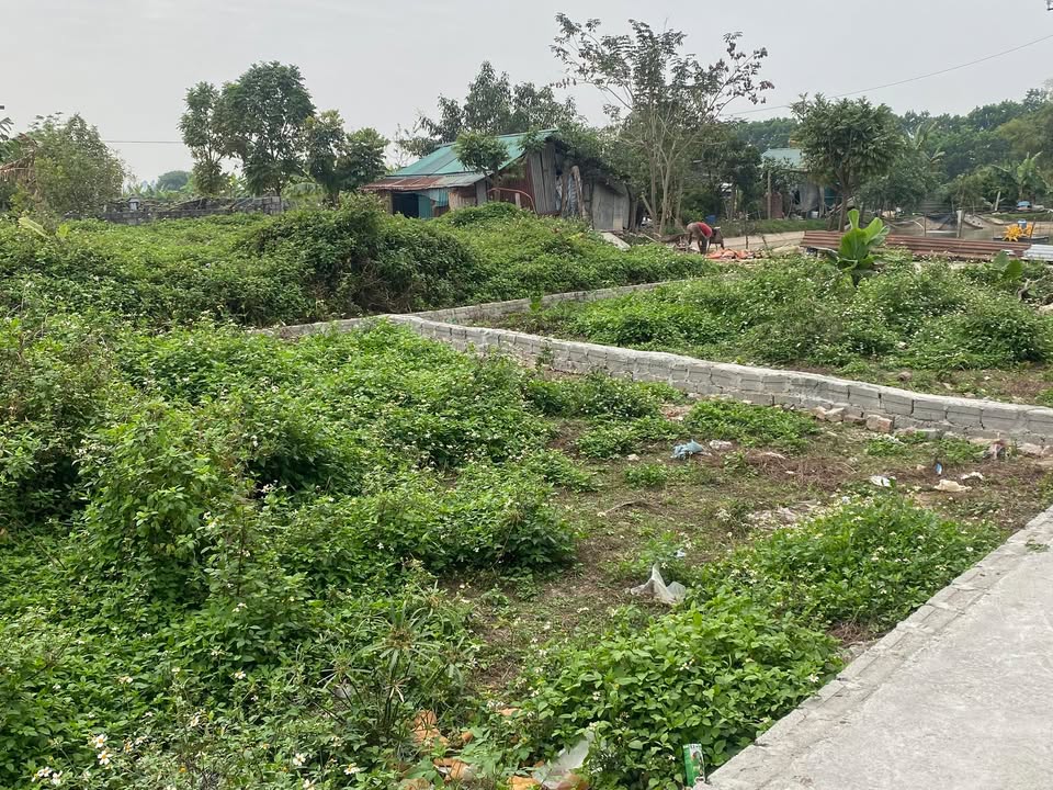 Đất nền Xã Chuyên Mỹ, Huyện Phú Xuyên, 80m² chỉ 2.3 tỷ - Cơ hội đầu tư lý tưởng!