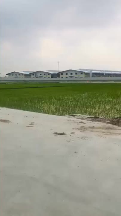 Đất nền xã Quỳnh Thạch, Huyện Quỳnh Lưu, 147m² giá 1 tỷ - Cơ hội đầu tư hấp dẫn!