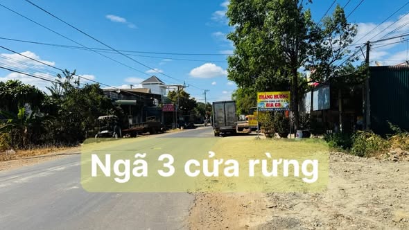 Đất nền chính chủ Xã Nam Dong 300m² giá 1.65 tỷ - Vị trí đắc địa cho kinh doanh!