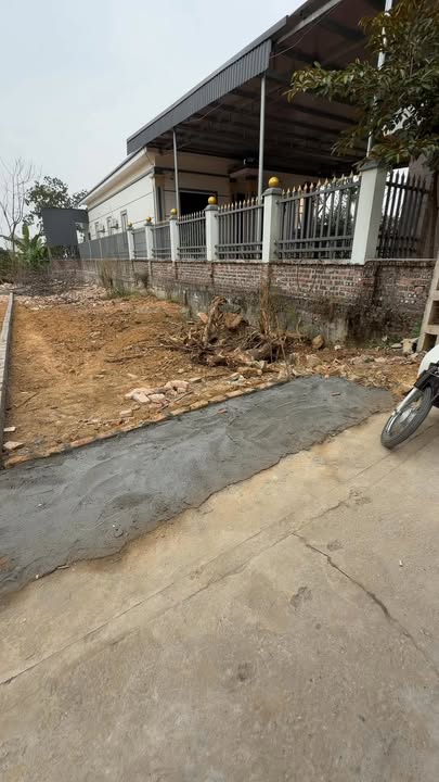 Đất nền thổ cư xã Mai Trung 100m² chỉ từ 200 triệu - Cơ hội đầu tư tuyệt vời!