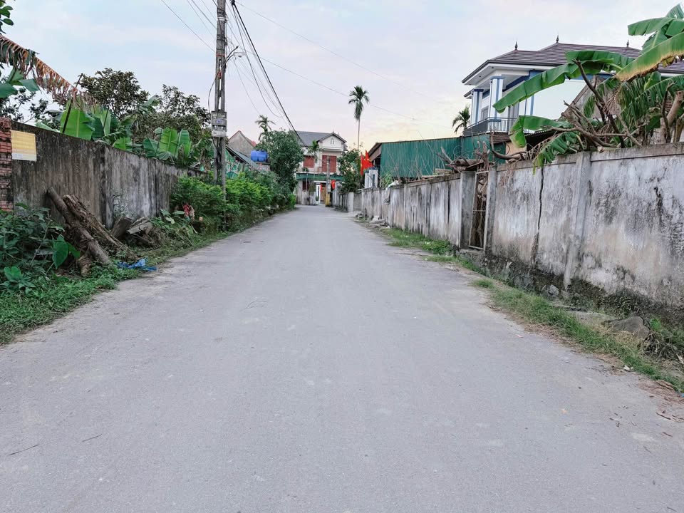 Đất TDP Thống Nhất, Thạch Đài, 204.9m² giá 1.8 tỷ - Vị trí đắc địa gần trường học!