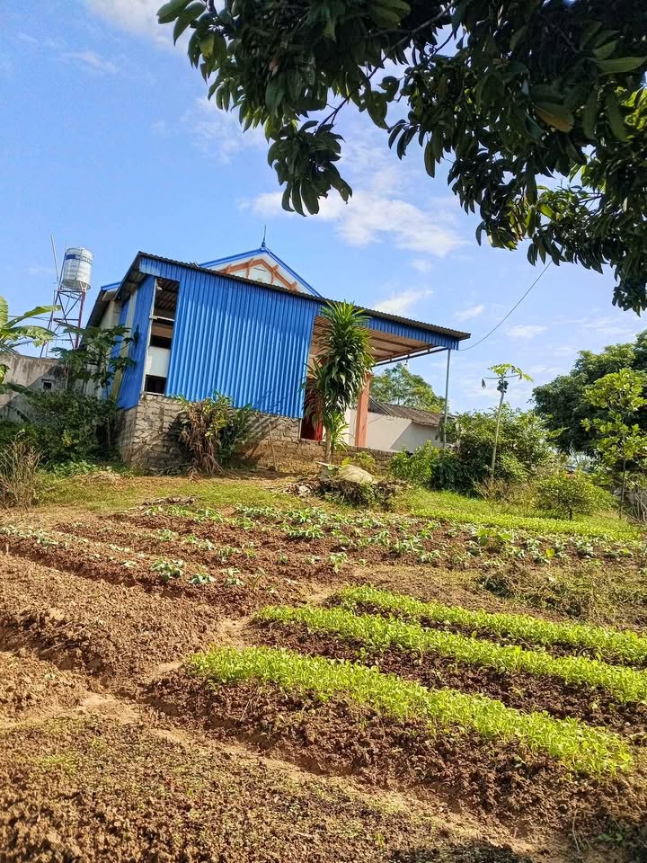 Đất nền xã Phúc Trìu, TP Thái Nguyên 82,2m² - Đầu tư sinh lời hấp dẫn!