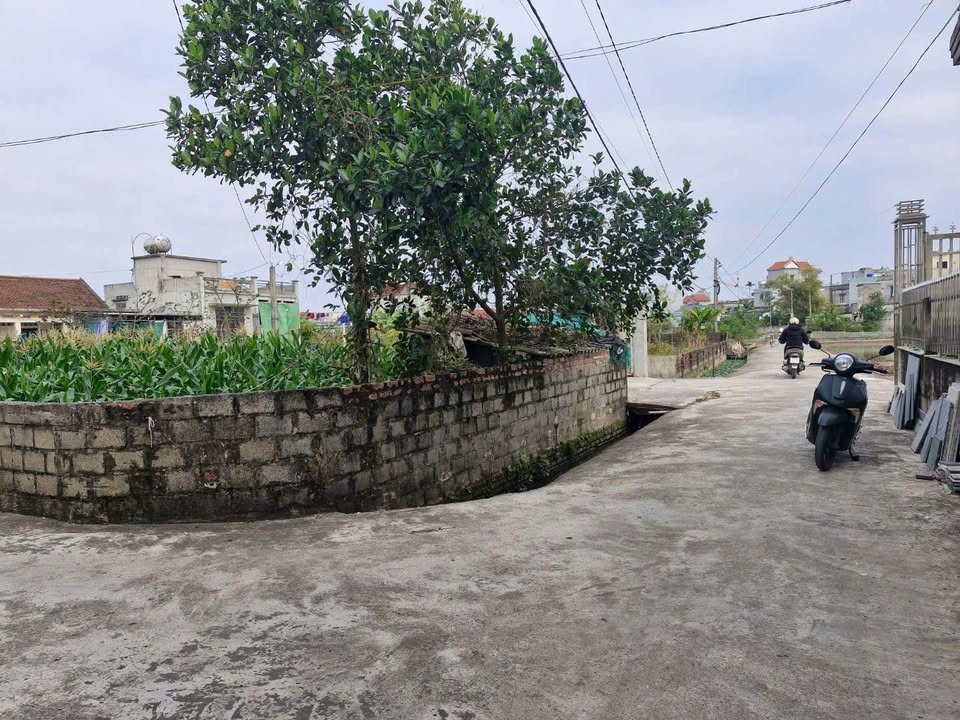 Đất nền lô góc 2 mặt tiền tại Quang Bình, Kiến Xương 100m² - Cơ hội đầu tư tuyệt vời!