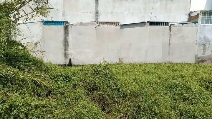 Đất thổ cư 104m² tại Bình Mỹ, Củ Chi giá 2.3 tỷ - Đầu tư sinh lời ngay!