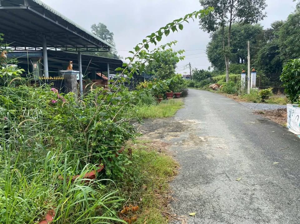 Nhà cấp 4 Thái Mỹ, Củ Chi 360m² giá 2.5 tỷ - Đầu tư sinh lời ngay!