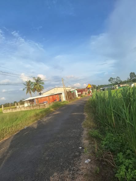 Đất nền xã Long Thuận, Bến Cầu 200m² chỉ 390 triệu - Sổ hồng chính chủ!