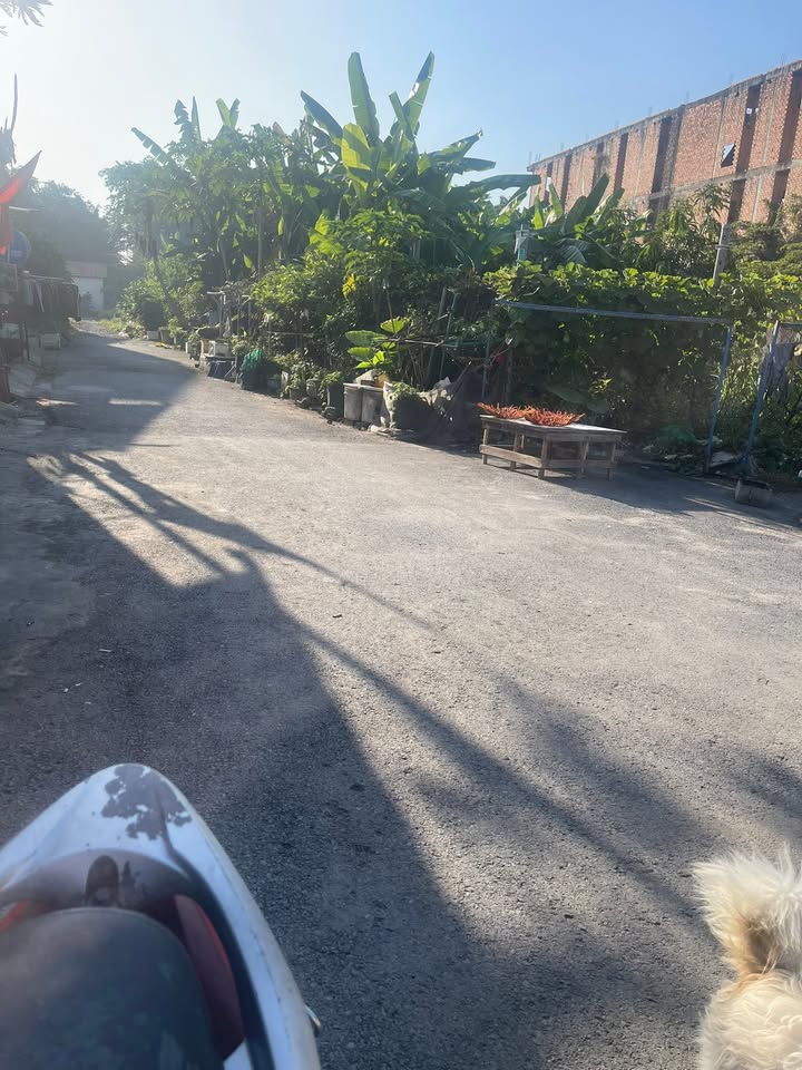 Đất nền Thạnh Xuân 43, Q12 130m² giá 6 tỷ - Cơ hội đầu tư hấp dẫn!