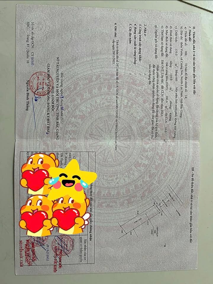 Đất thổ cư chính chủ tại xã Cương Sơn, 100m² chỉ 1 tỷ - Bán gấp giá tốt!