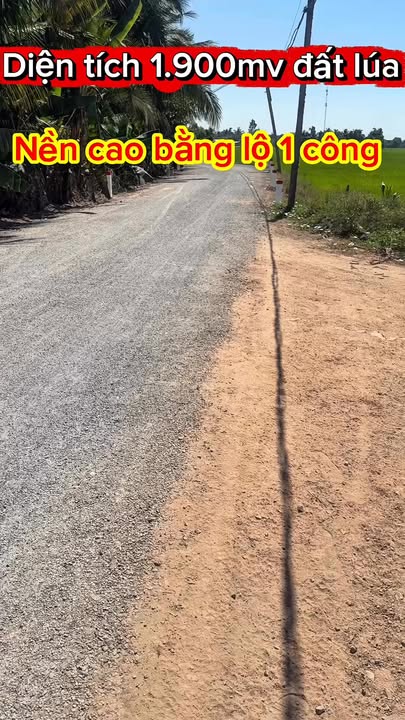 Đất nền 1900m² tại xã Bình Hiệp, Tây Ninh - Giá chỉ 450 triệu!