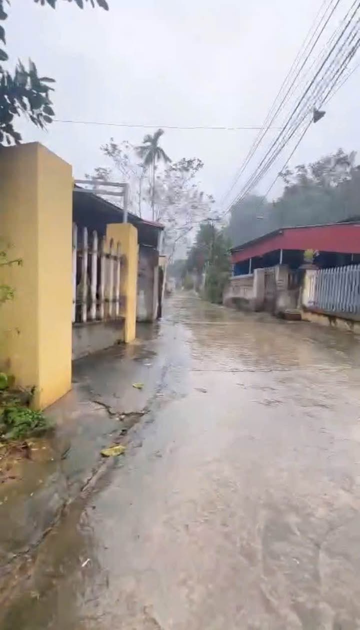 Đất thổ cư 208m² tại thôn Yên Minh - Giá chỉ từ 800 triệu!