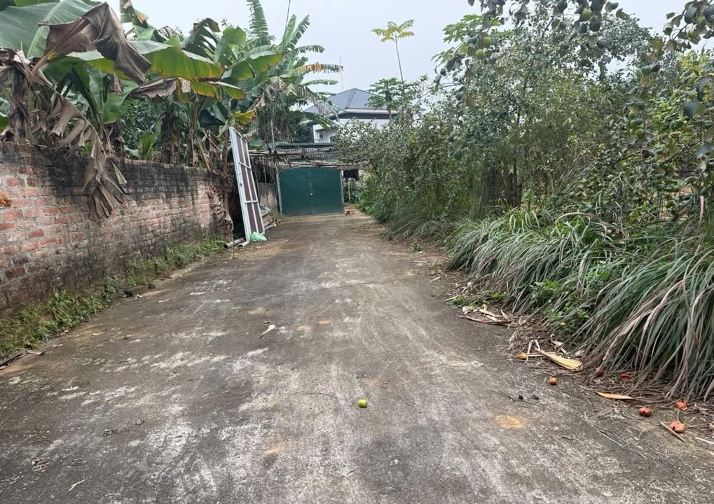 Lô đất 112m² tại khu 11 Kim Đức, giá chỉ 1 tỷ - Đầu tư sinh lời ngay!