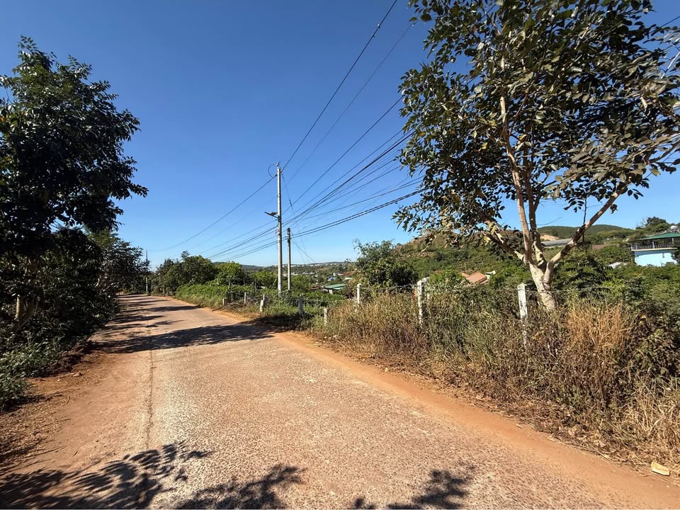 Đất nền Thị trấn Nam Ban, Huyện Lâm Hà 2000m² giá 3 tỷ - Tiềm năng đầu tư lớn!