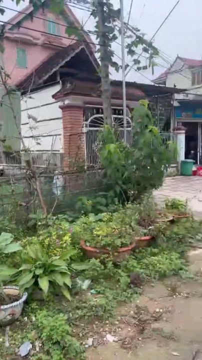 Bán nhà mặt tiền Quốc Lộ 33, Thanh Mỹ, 90m² giá 1.8 tỷ - Đầu tư sinh lời ngay!