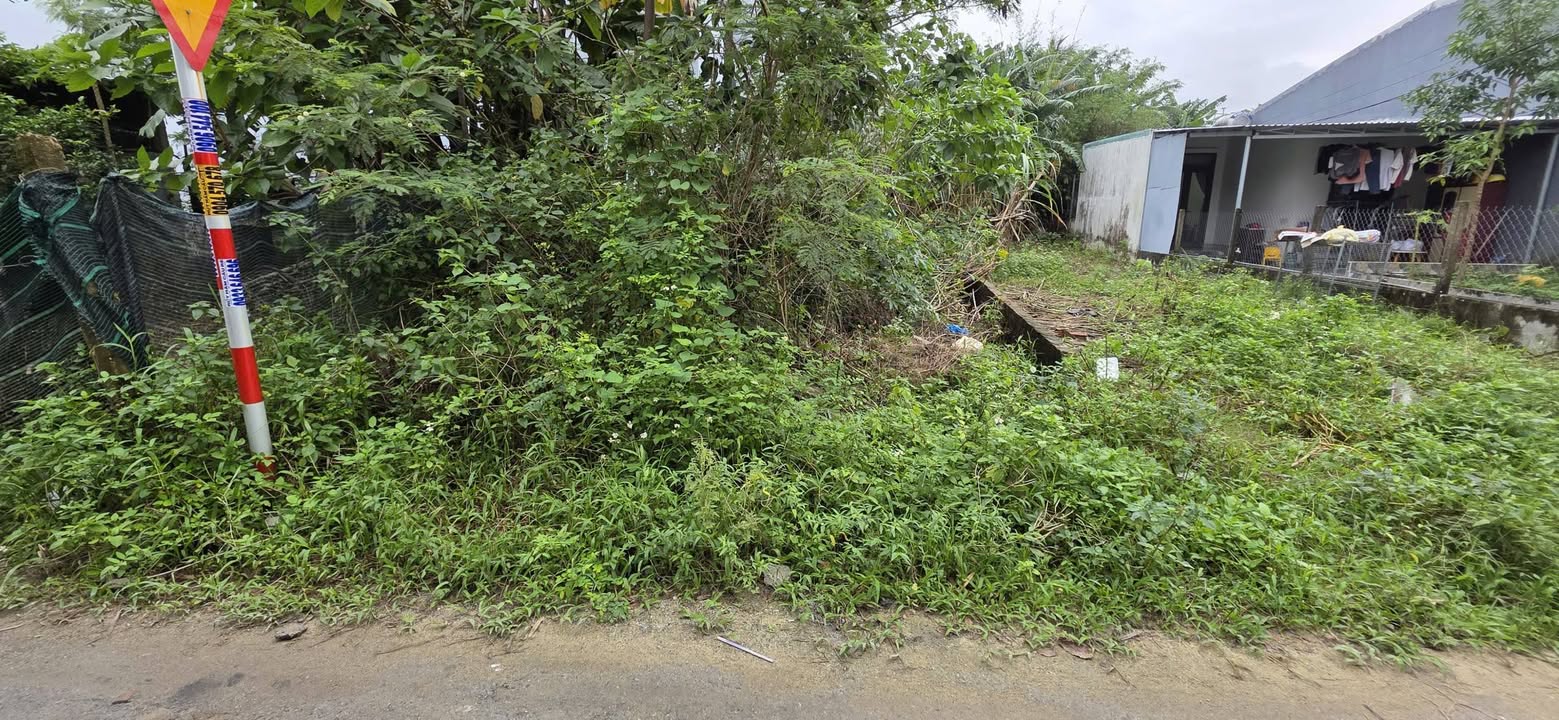 Lô đất 92m² Hà Đông giá chỉ 1,5 tỷ - Nở hậu, phong thủy tốt!