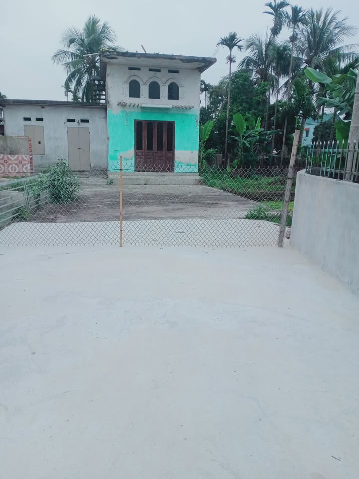 Đất tặng nhà tại Xã Cao Minh, Huyện Vĩnh Bảo - Diện tích 400m² chỉ 1.52 tỷ!