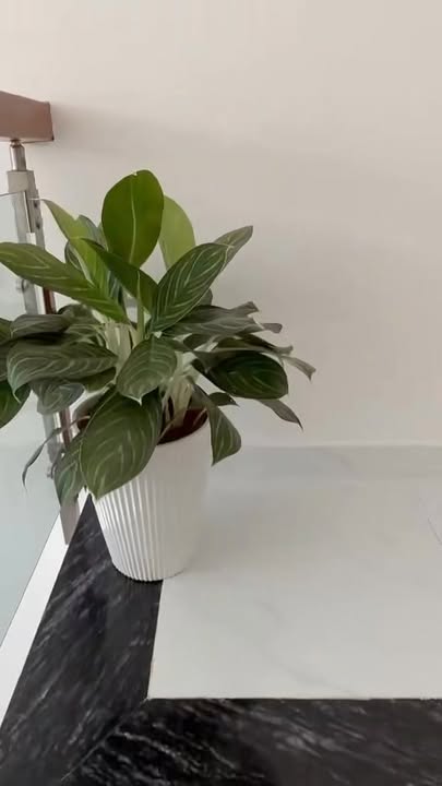 Nhà riêng Ấp 5, Xã Đông Thạnh, Huyện Hóc Môn 68m² giá 2.75 tỷ - Sổ đỏ chính chủ!