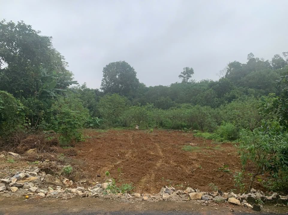 Đất nền Phường Trung Sơn, Tam Điệp 322m² giá chỉ 1.5 tỷ - Cơ hội đầu tư hấp dẫn!