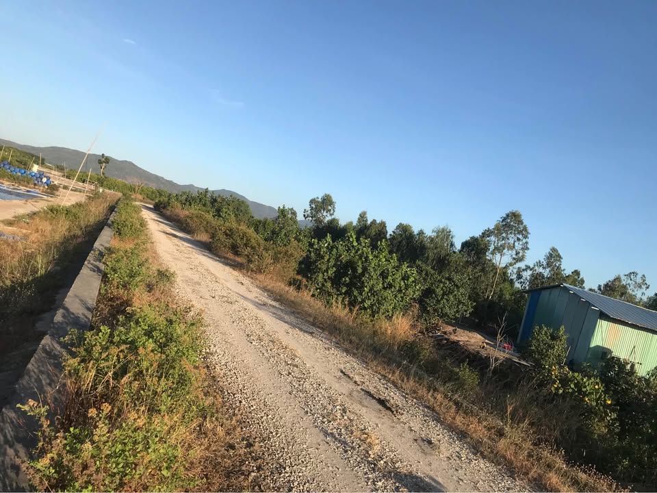 Đất nền mặt tiền đường Ven Sông Cửa Lấp, Vũng Tàu 5300m² giá 21.2 tỷ - Cơ hội đầu tư hấp dẫn!