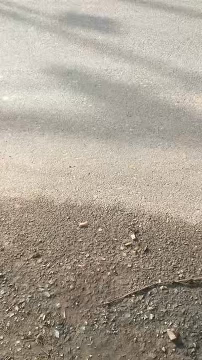 Bán gấp nhà mặt tiền đường Xóm Vắng, Phường Mỹ Xuân, 250m² - Đầu tư sinh lời ngay!