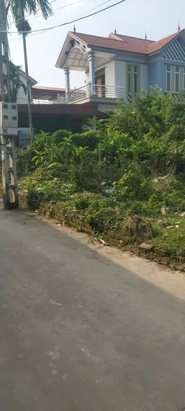 Đất thổ cư Thôn Tiên La, Đức Giang, Bắc Giang 91m² giá 700 triệu - Ô tô vào tận nơi!