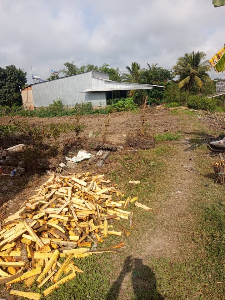 Đất nền 850m² tại ấp Long Thạnh, Vĩnh Thạnh, Cần Thơ - Giá chỉ 1.45 tỷ!