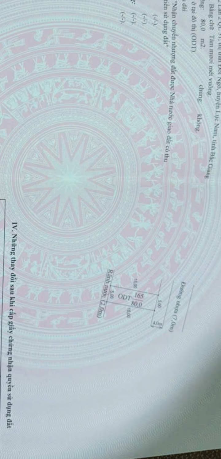 Đất nền Lục Nam 80m² giá thỏa thuận - Vị trí vượng khí tuyệt đẹp!