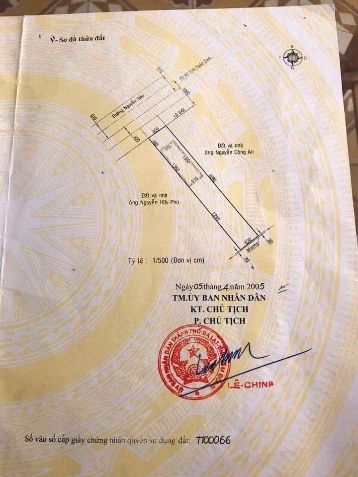 Đất mặt tiền đường Nguyễn Siêu Đà Lạt 253m² giá 17 tỷ - Cơ hội đầu tư sinh lời!